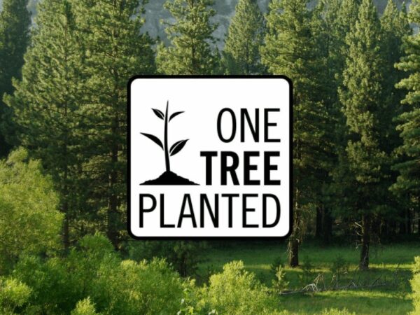 Donation of a Tree